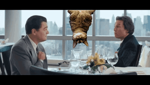 Matthew Mcconaughey Wolf Of Wall Street Hanging Cat GIF