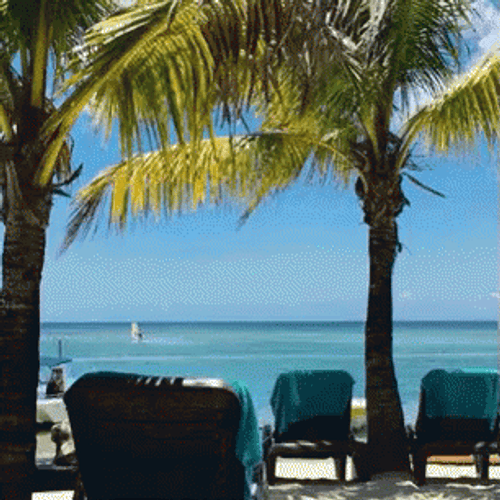 Mauritius Island Beach Resort GIF
