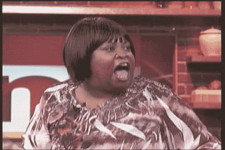 Maury GIF