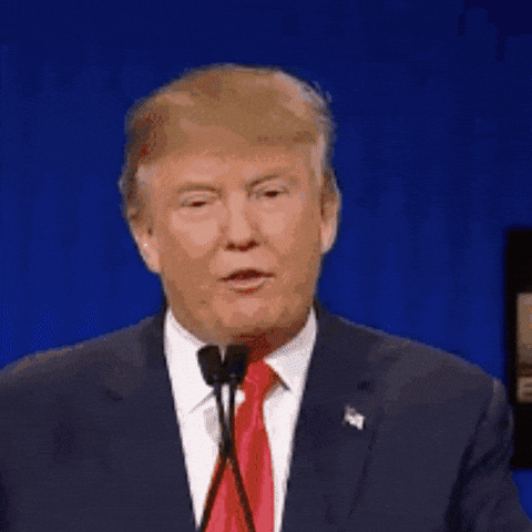 Maury Lie Detector Donald Trump GIF