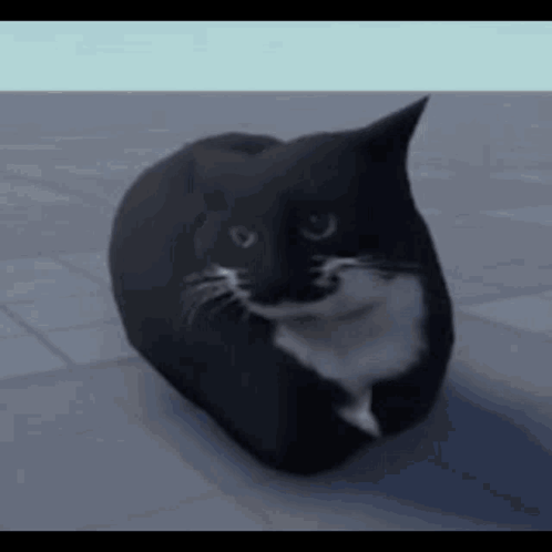 Maxwell Cat Meme Bouncing On Gray Pavement GIF