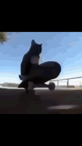 Maxwell Cat Meme California Girls GIF