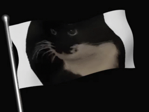 Maxwell Cat Meme Cat Flag GIF