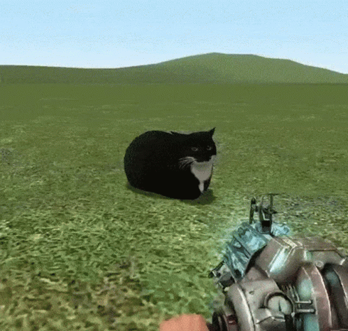 Maxwell Cat Meme Exploding Bomb GIF