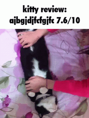 Maxwell Cat Meme Hand Roll GIF
