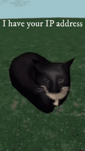 Maxwell Cat Meme I Have Your Ip Address GIF