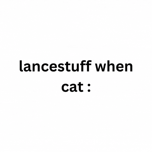 Maxwell Cat Meme Lancestuff When Cat GIF