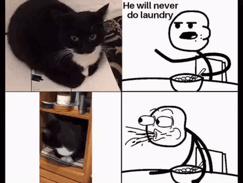 Maxwell Cat Meme Trolled GIF