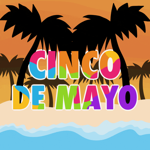 May Cinco De Mayo Gif GIF