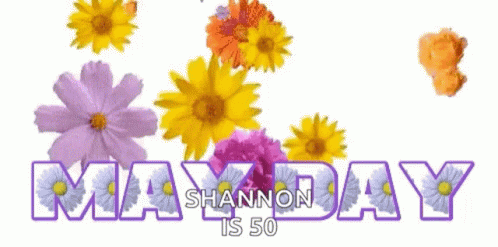 May Day Shannon 50 Sign With Purple And Yellow Flowers GIF