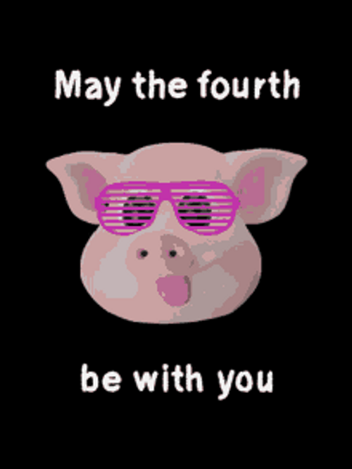 May The 4th Be With You Sophisticated Pig GIF