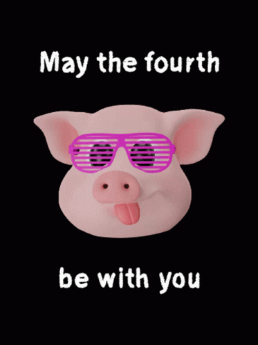 May The Fourth Be With You Cool Pig GIF