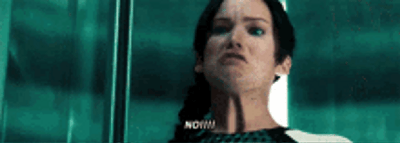 May The Odds Be Ever In Your Favor GIF