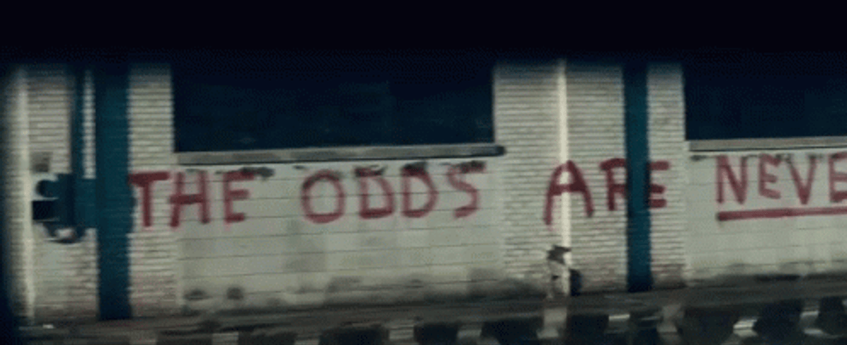 May The Odds Be In Your Favor 498 X 203 Gif GIF