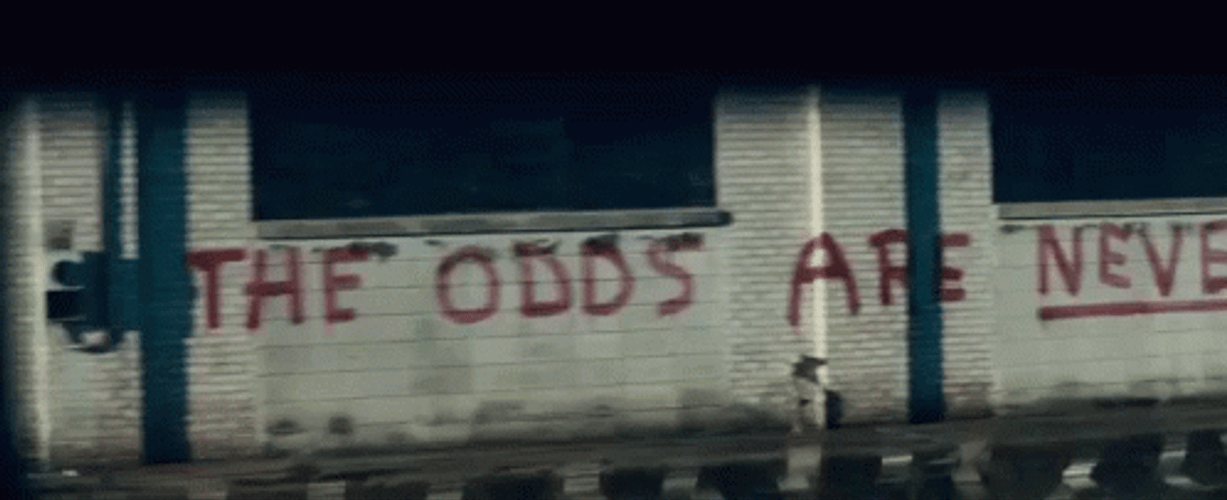May The Odds Be In Your Favor GIF