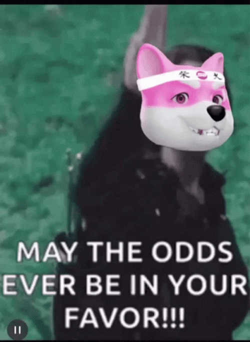 May The Odds Be In Your Favor Parody GIF