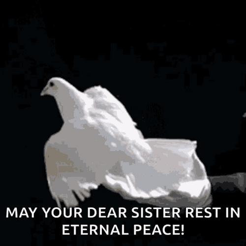 May Your Dear Sister Rest In Eternal Peace GIF
