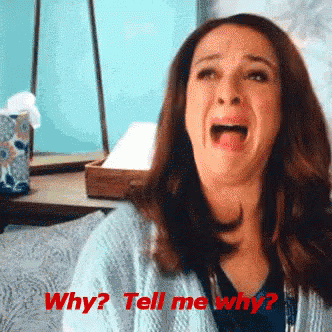 Maya Rudolph Crying And Asking Whyyy GIF
