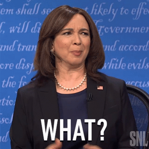 Maya Rudolph Say What GIF