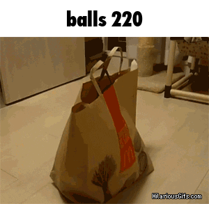 McDonald's Bag Balls 220