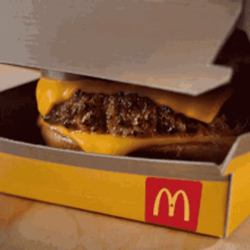 Mcdonald's Hamburger in Box With Lid Open