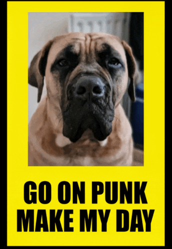 Mcfarlane Digital Meme GIF