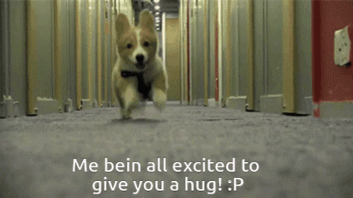 Me Being All Excites To Give You Hug GIF