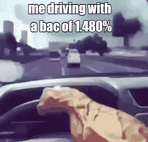Me Driving With a BAC of 1,480%