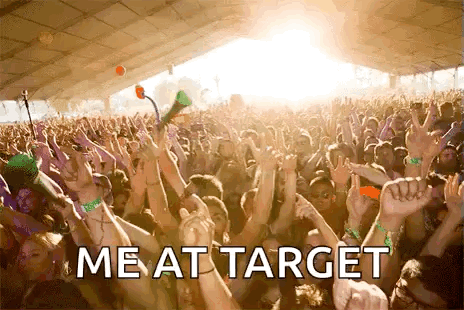 Me In The Coachella Crowd GIF