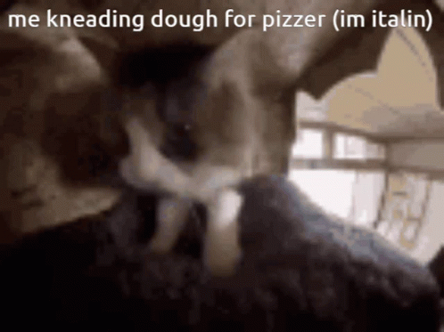 Me Kneading Dough For Pizzer Cat Knead GIF