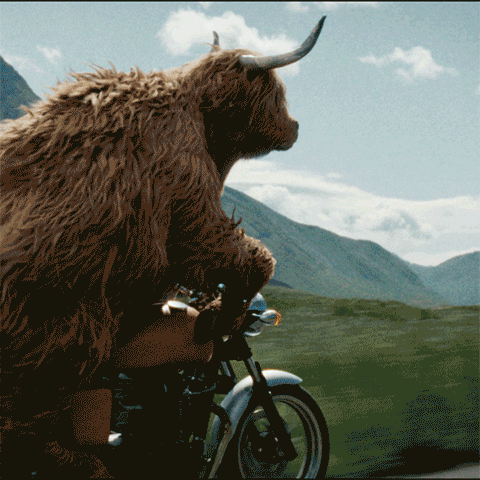 Me Leaving Work On Friday Bull Riding Motorcycle GIF