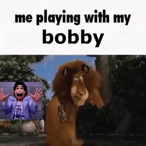 Me Playing With My Bobby Lion