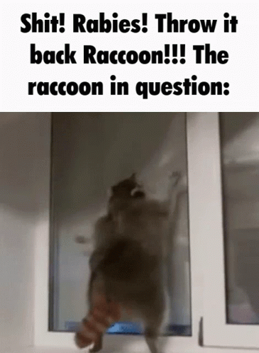 Me Realizing I Got Hit By the Rabies Master Secret Technique