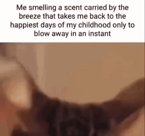 Me Smelling A Scent Carried By The Breeze Taking Me Back To The Happiest Days Of My Childhood GIF