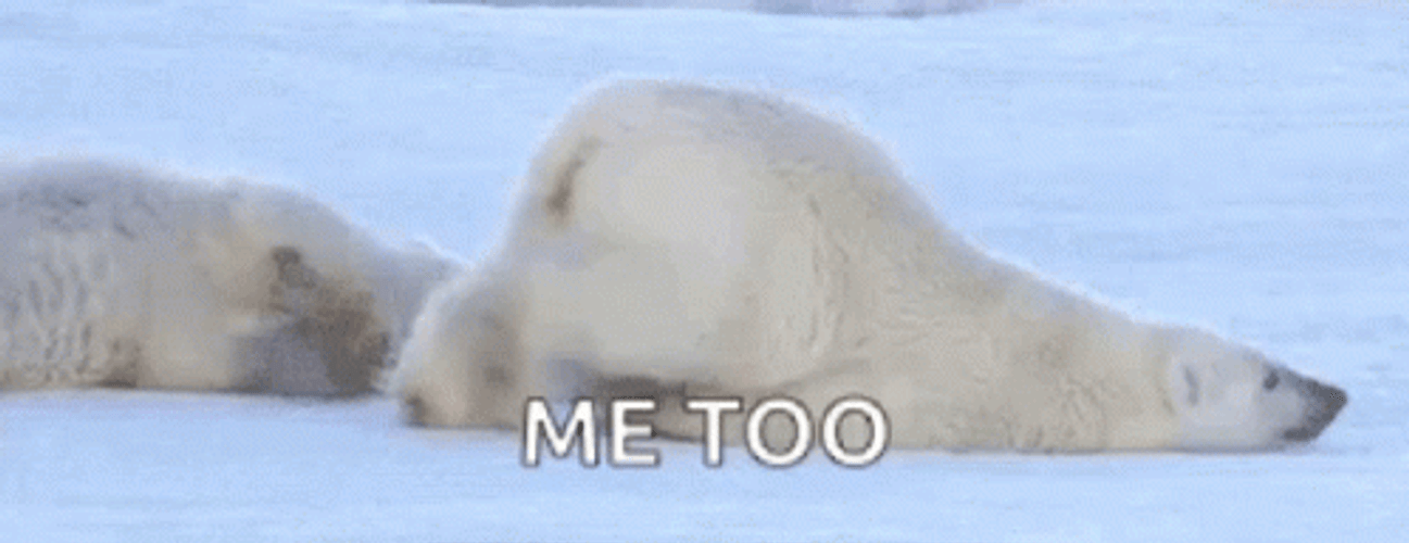 Me Too Lazy Polar Bear Sliding In Snow GIF
