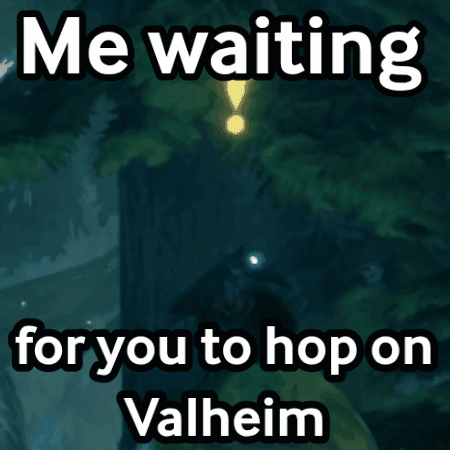 Me Waiting For You To Hop On Valheim