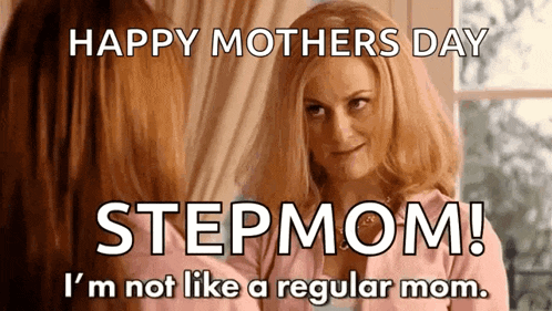 Mean Girls Amy Poehler Gif GIF