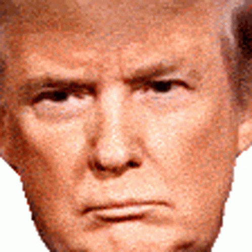 Mean Mug Donald Trump GIF