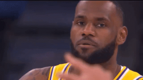 Mean Mug Lebron James GIF