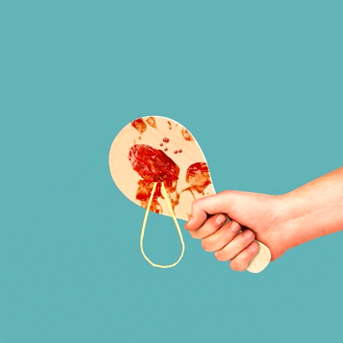 Meatball As Paddle Ball GIF