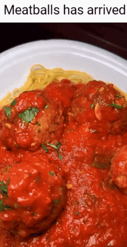 Meatballs and Spaghetti Saying Meatballs Has Arrived