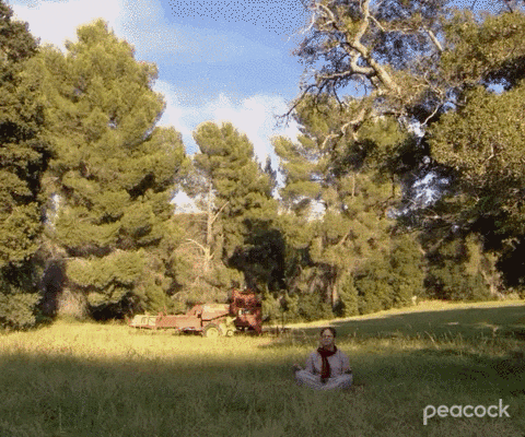 Meditation Dwight Schrute In The Garden GIF