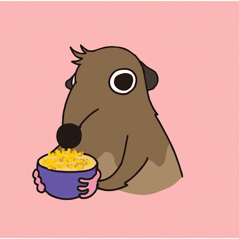 Meerkat Eating Chicken Nuggets and Corn