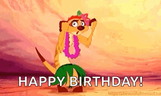Meerkat From Lion King Dancing In Lei And Hula Skirt GIF