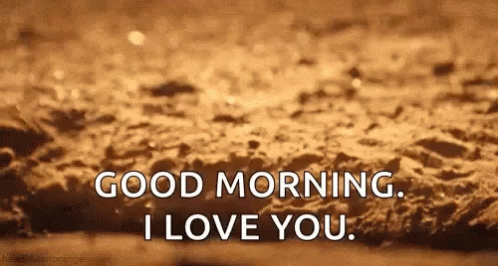 Meerkat Good Morning I Love You GIF