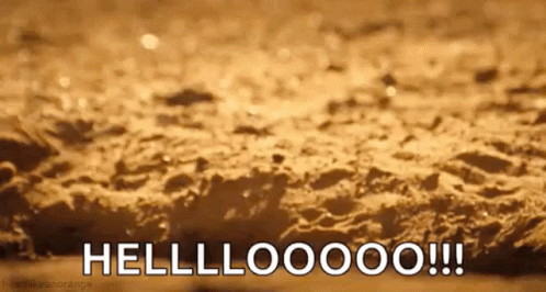 Meerkat Peeking From Burrow Hello GIF