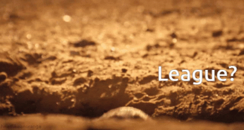 Meerkat Peeking From Hole Asking League GIF