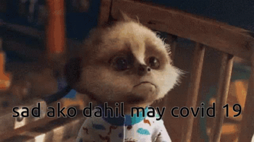Meerkat Sitting in Chair Sad Ako Dahil May Covid 19