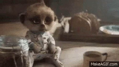 Meerkat Sitting Next To Coffee And Food Jar GIF