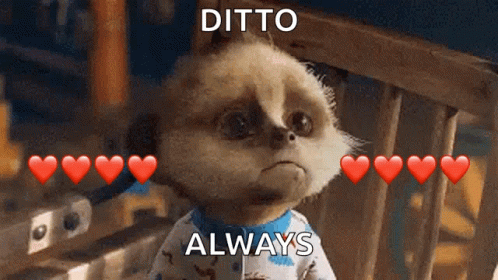 Meerkat With Red Hearts Ditto Always GIF